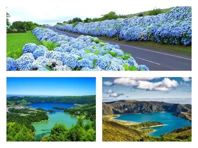 2stay - A1 아파트 Ponta Delgada